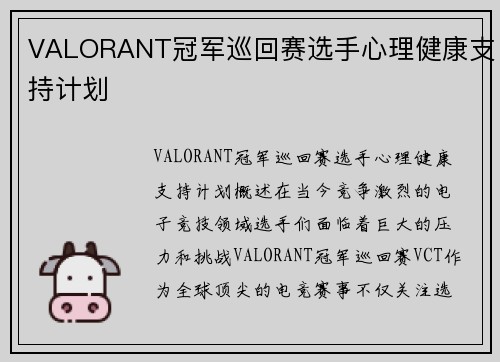 VALORANT冠军巡回赛选手心理健康支持计划